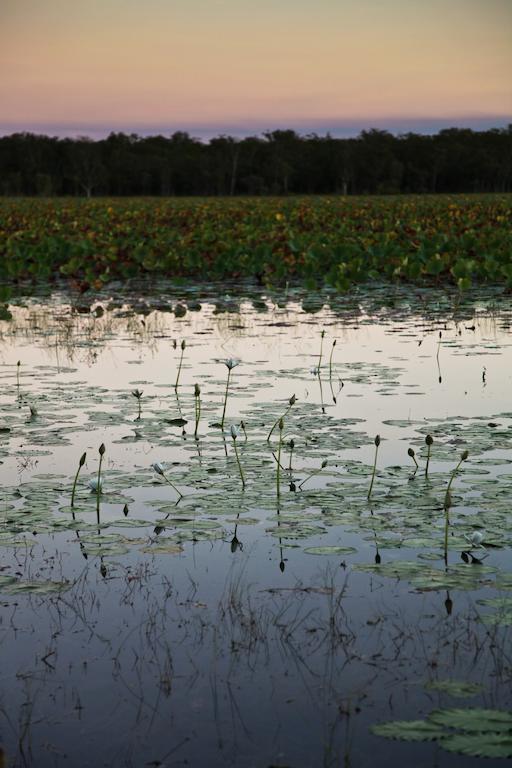 فندق Aurora Kakadu المظهر الخارجي الصورة